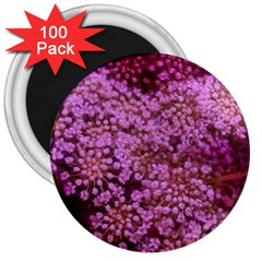 Pink Queen Anne s Lace Landscape 3  Magnets (100 Pack) by okhismakingart