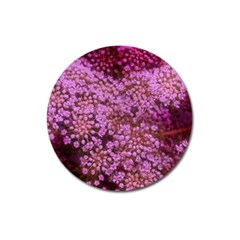 Pink Queen Anne s Lace Landscape Magnet 3  (round) by okhismakingart