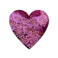 Pink Queen Anne s Lace Landscape Heart Magnet by okhismakingart