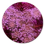 Pink Queen Anne s Lace Landscape Magnet 5  (Round) Front