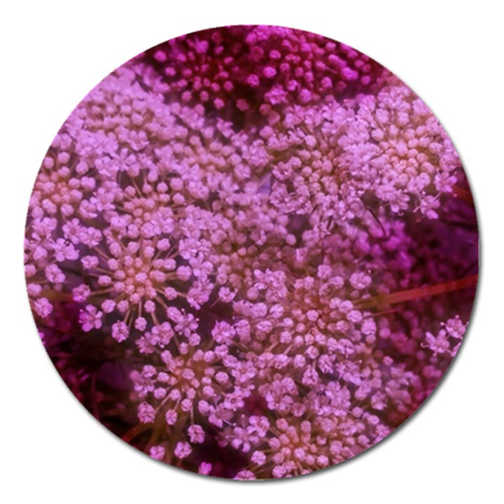 Pink Queen Anne s Lace Landscape Magnet 5  (Round)