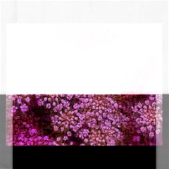 Pink Queen Anne s Lace Landscape Rectangular Jigsaw Puzzl by okhismakingart