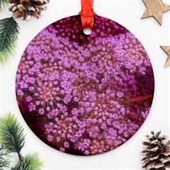 Pink Queen Anne s Lace Landscape Round Ornament (two Sides) by okhismakingart