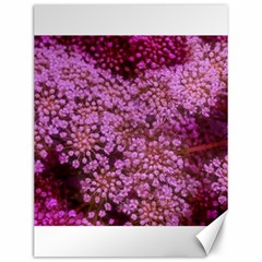 Pink Queen Anne s Lace Landscape Canvas 12  X 16  by okhismakingart