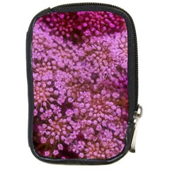 Pink Queen Anne s Lace Landscape Compact Camera Leather Case by okhismakingart