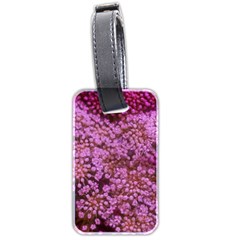 Pink Queen Anne s Lace Landscape Luggage Tags (two Sides) by okhismakingart