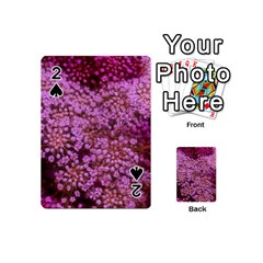 Pink Queen Anne s Lace Landscape Playing Cards 54 (mini) by okhismakingart