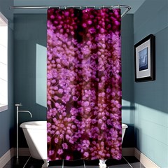 Pink Queen Anne s Lace Landscape Shower Curtain 36  X 72  (stall)  by okhismakingart