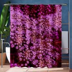 Pink Queen Anne s Lace Landscape Shower Curtain 60  X 72  (medium)  by okhismakingart