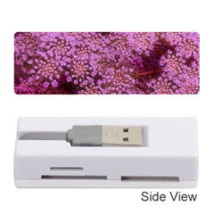 Pink Queen Anne s Lace Landscape Memory Card Reader (stick) by okhismakingart