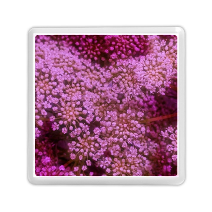 Pink Queen Anne s Lace Landscape Memory Card Reader (Square)