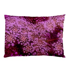 Pink Queen Anne s Lace Landscape Pillow Case (two Sides) by okhismakingart