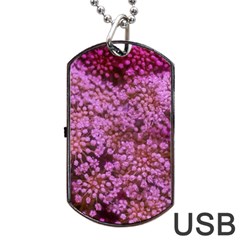 Pink Queen Anne s Lace Landscape Dog Tag Usb Flash (two Sides) by okhismakingart