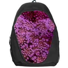 Pink Queen Anne s Lace Landscape Backpack Bag by okhismakingart