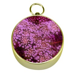 Pink Queen Anne s Lace Landscape Gold Compasses by okhismakingart