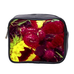 Sunflower And Cockscomb Mini Toiletries Bag (two Sides) by okhismakingart