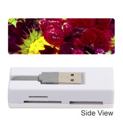 Sunflower And Cockscomb Memory Card Reader (stick) by okhismakingart