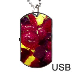 Sunflower And Cockscomb Dog Tag Usb Flash (two Sides) by okhismakingart