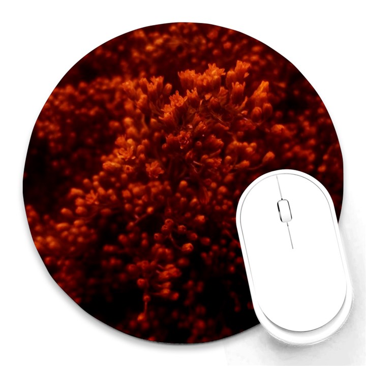 Red Goldenrod Round Mousepads