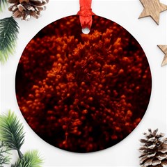 Red Goldenrod Ornament (round) by okhismakingart