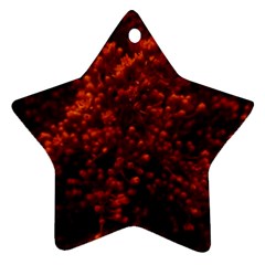 Red Goldenrod Ornament (star) by okhismakingart