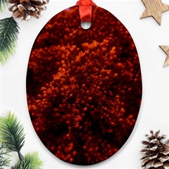 Red Goldenrod Oval Ornament (two Sides) by okhismakingart