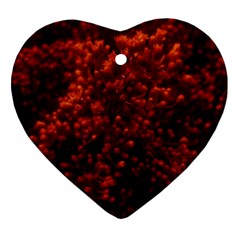 Red Goldenrod Heart Ornament (two Sides) by okhismakingart