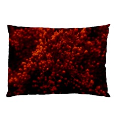 Red Goldenrod Pillow Case by okhismakingart