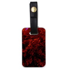 Red Goldenrod Luggage Tags (one Side)  by okhismakingart