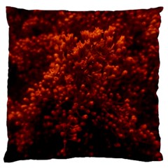 Red Goldenrod Large Flano Cushion Case (one Side) by okhismakingart