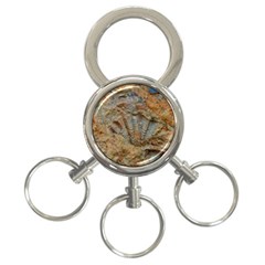 Shell Fossil 3-ring Key Chains by okhismakingart