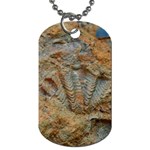 Shell Fossil Dog Tag (One Side) Front