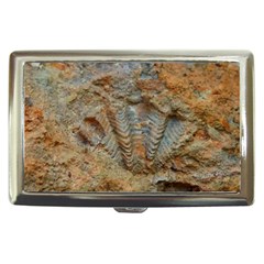 Shell Fossil Cigarette Money Case by okhismakingart