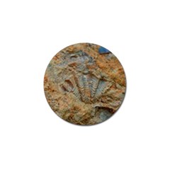 Shell Fossil Golf Ball Marker (4 Pack) by okhismakingart