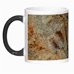 Shell Fossil Morph Mugs by okhismakingart