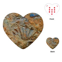 Shell Fossil Playing Cards (heart) by okhismakingart