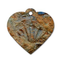 Shell Fossil Dog Tag Heart (one Side) by okhismakingart