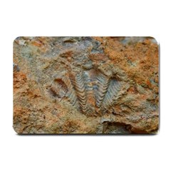 Shell Fossil Small Doormat  by okhismakingart