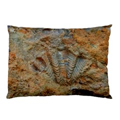 Shell Fossil Pillow Case by okhismakingart