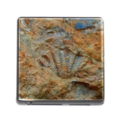 Shell Fossil Memory Card Reader (square 5 Slot) by okhismakingart