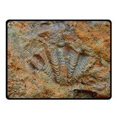 Shell Fossil Fleece Blanket (small) by okhismakingart