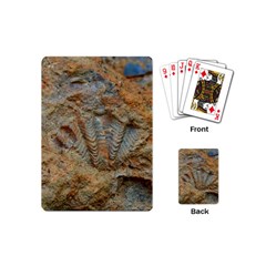 Shell Fossil Playing Cards (mini) by okhismakingart