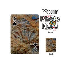 Shell Fossil Playing Cards 54 (mini) by okhismakingart