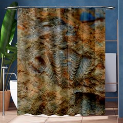 Shell Fossil Shower Curtain 60  X 72  (medium)  by okhismakingart