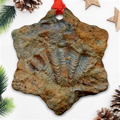 Shell Fossil Ornament (snowflake) by okhismakingart