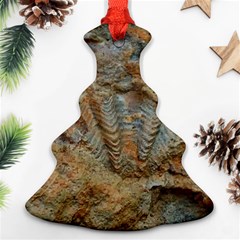 Shell Fossil Christmas Tree Ornament (two Sides) by okhismakingart