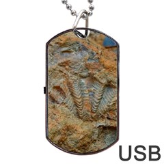 Shell Fossil Dog Tag Usb Flash (one Side) by okhismakingart