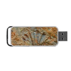 Shell Fossil Portable Usb Flash (two Sides) by okhismakingart