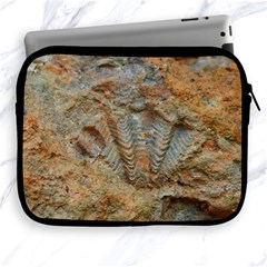 Shell Fossil Apple Ipad 2/3/4 Zipper Cases by okhismakingart