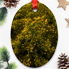 Yellow Goldrenrod Ornament (oval) by okhismakingart